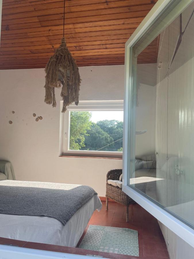 Villa A House In The Woods à Sintra Extérieur photo