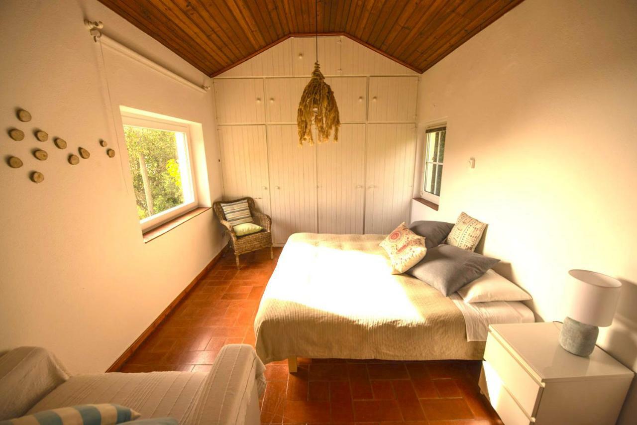 Villa A House In The Woods à Sintra Extérieur photo